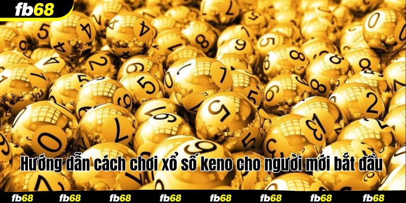 Hướng dẫn cách chơi xổ số keno cho người mới bắt đầu