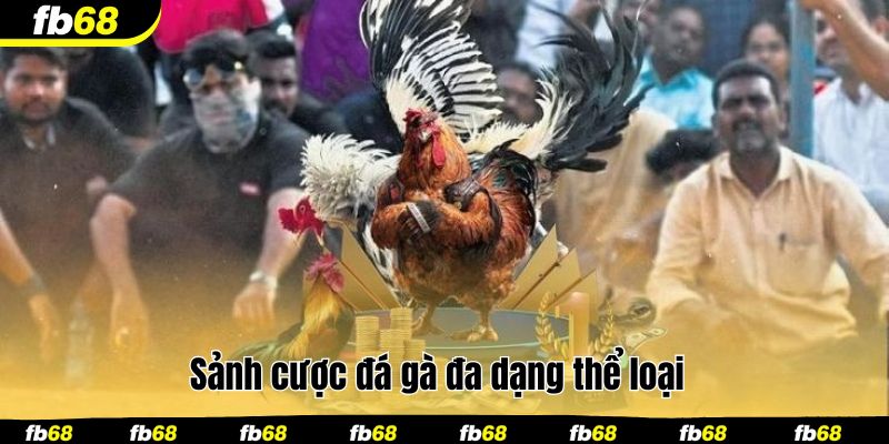 Sảnh cược đá gà đa dạng thể loại