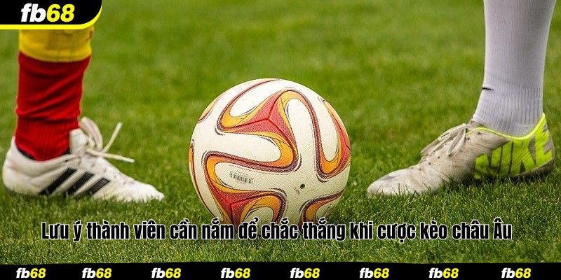 Lưu ý thành viên cần nắm để chắc thắng khi cược kèo châu Âu