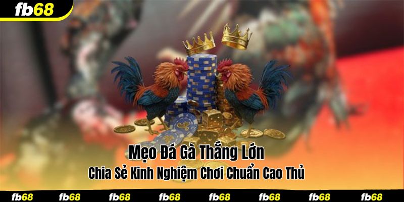 mẹo đá gà thắng lớn