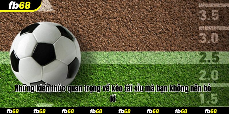 Những kiến thức quan trọng về kèo tài xỉu mà bạn không nên bỏ lỡ