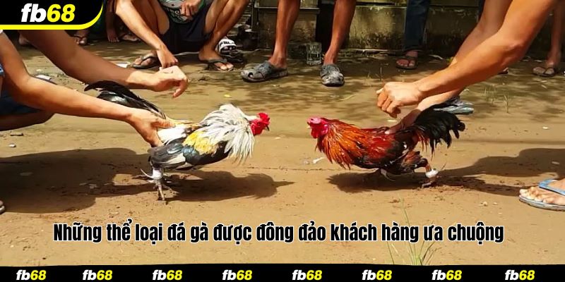 Những thể loại đá gà được đông đảo khách hàng ưa chuộng